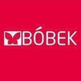 BOBEK_SCIENCE