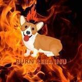 Burn Reba Inu
