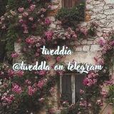 tweddia, open. ♡