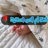 🇪🇭قناة أم أنس السلفية🇪🇭