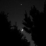 -𝐌𝐨𝐨𝐧🌚