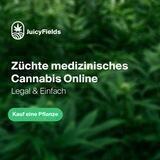 JUICYGROW 🌱 Passives Einkommen 💶