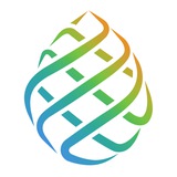 Платформа Larix