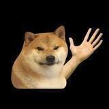 Shiba Slap [$SLAP]