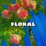 𝙁𝙇𝙊𝙍𝘼𝙇(🌺)