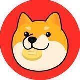 SHINA INU - PORTAL