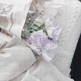 ── ·﻿ ﻿·﻿ ⋆ chl lɑnd ٬ ۫ 🛁