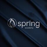 Spring Academy