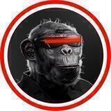 Crypto Gorilla