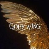 Gold wing /анкеты/