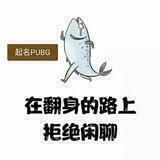 起名PUBG国际服频道