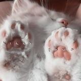 ♡ 𝙺𝚒𝚝𝚝𝚢 𝚙𝚊𝚠𝚜 ♡ 