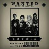 Bryzie's Partnership