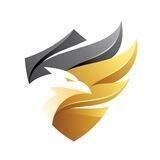 Falcon Course | Forex , Crypto , Stock