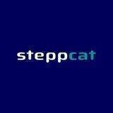 Кроссовки “steppcat”