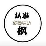 枫 📱手机口 微信pc 大量要人 已上押1500u