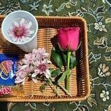 بُنَيّةُ التَّوحِيد 🪴🌱