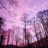 Beginner Homesteader Chat ❤️