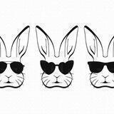 Psycho bunny Mindhealth