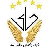 تولیدی کیف وکفش حامی مد