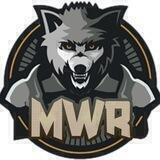 MetaWarrior中国社区