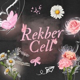 REKBER CELL | OPEN