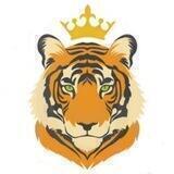 Tigerking global