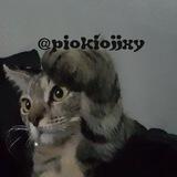 testi