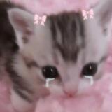 ᧔ peu ‐ bebe ᧓