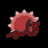 قلب فنی
