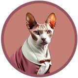 $CATCEO AI l MEME + AI TRENDING l 5% REWARD $CATCEO