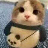 叶童通知频道