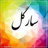 همکاری و پخش سارگل