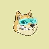 EverDoge| Chain/Wallet/Swap