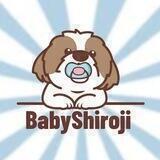 BabyShirojiv2