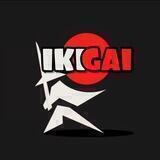 IKIGAI | Самопознание (Переходник)