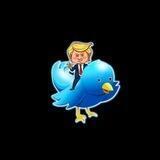 The Trumpening | ERC-20 Portal