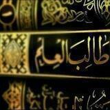 Comments (yozishdan oldin qoidalar bilan tanishing)