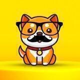 Not Baby Doge Coin - China