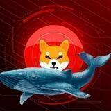 ShibaWhale - Portal