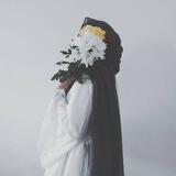 『آيَـــة الشـاميـــة』