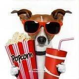 cinema/ᵛᶦʳᵗᶜʰ