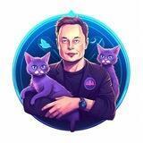 ELON CAT ANNOUNCEMENTS 🐱