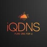 iQDNS - 频道Channel