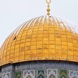 أّقُتٌـبًأّسِـأّتٌـ فُـلَسِـطِيِّنِيِّةّ🇵🇸