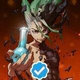 Dr Stone VF