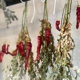 AussiePreppers 🌽🥕🥚🧅🌶