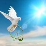 آزادی🕊🌐
