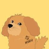 Nila Inu 🐕 Pre-Verify