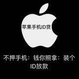 公群/3538 苹果ID贷【已上压3000u】